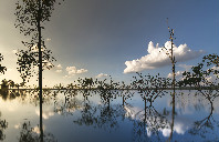 新西兰哪些学校开设了心理专业?