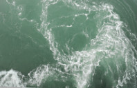 新西兰留学心理专业优势介绍