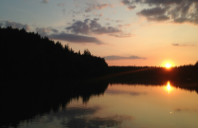 新西兰留学选校须知(下)