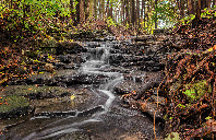 新西兰优秀理工学院推荐(下)