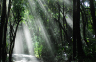 新西兰各阶段留学条件介绍