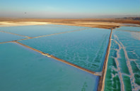 新西兰知名大学博士课程介绍(上)