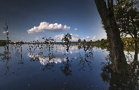 留学新西兰游戏设计专业前景如何?