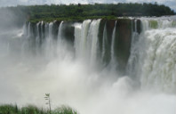 新西兰艺术专业较好的大学有哪些?(上)