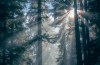 留学新西兰理工学院优势介绍(上)