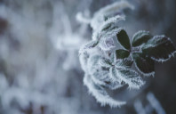 留学奥克兰大学本科申请条件介绍