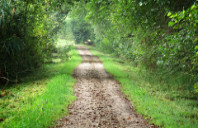 新西兰惠灵顿理工学院强势专业介绍