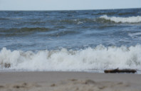 新西兰惠灵顿理工学院留学条件介绍