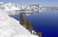 新西兰都有哪些艺术专业较好的学校?