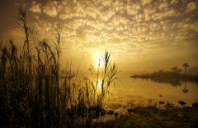 留学新西兰怀卡托大学优势介绍