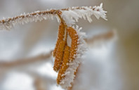 申请英国翻译口译专业要求及就业前景介绍