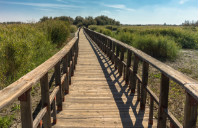 英国研究生都有哪些学位?