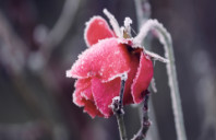 英国预科课程适合哪些学生?