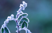英国一年制和两年制研究生区别介绍