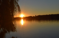 留学英国心理学专业就业前景介绍