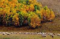 英国留学如何选择专业?(下)