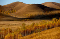 英国爱丁堡大学教育学硕士申请条件介绍