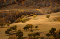 留学英国工业设计专业如何选择？（下）