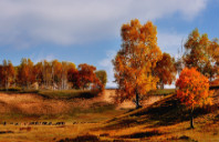 英国教育学专业留学介绍