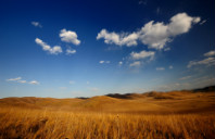 英国帝国理工学院商学院热门专业讲解