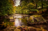 美国留学都有哪些条件？