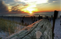 留学美国各院校雅思要求介绍