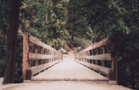 高考后申请美国的留学方案有哪些？