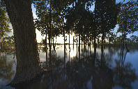 高考后留学美国需要参加哪些考试？