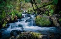 留学美国本科面试事项