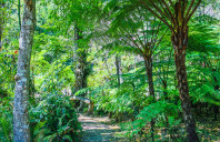 留学美国本科都有哪些申请方式？