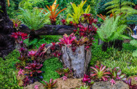 留学美国东北大学本科都有哪些优势呢?