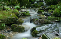 美国本科转学注意事项讲解