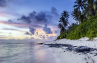 美国本科奖学金类型介绍(下)