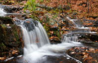 美国一年制研究生申请条件介绍