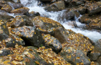 美国研究生申请流程介绍