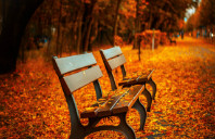 留学澳洲翻译专业如何?