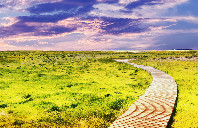 澳洲翻译专业优势院校推荐