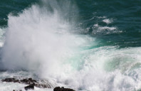 澳洲悉尼大学有哪些优势专业?