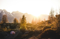 澳洲热门研究生专业推荐