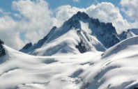 留学新西兰法律专业如何?