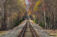 新西兰个名校优势专业介绍(上)