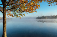 新西兰奥克兰大学申请条件及奖学金介绍