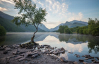 新西兰心理学专业优势院校介绍