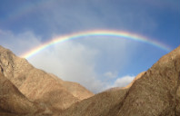 留学新西兰如何省钱?