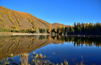 新西兰个大学留学费用介绍(下)