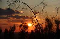 新西兰大学奖学金介绍