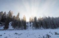 梅西大学商学院课程介绍