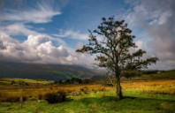 新西兰怀卡托大学优势专业介绍(下)