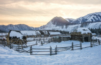 新西兰有哪些热门的移民专业?