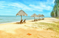 英国冷门的新兴专业——翻译专业